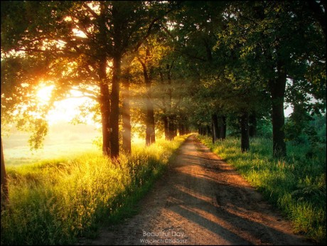 Beautiful_Day_by_Dr4kon